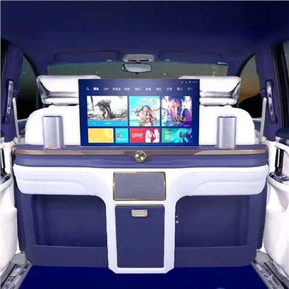 Parede divisória no carro para segurança
