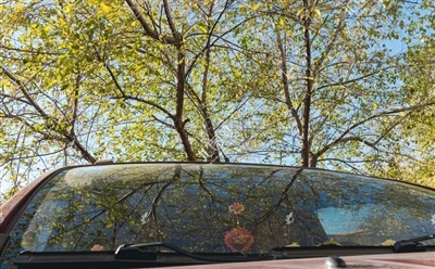 Por que o para-brisa dianteiro de um carro está inclinado?