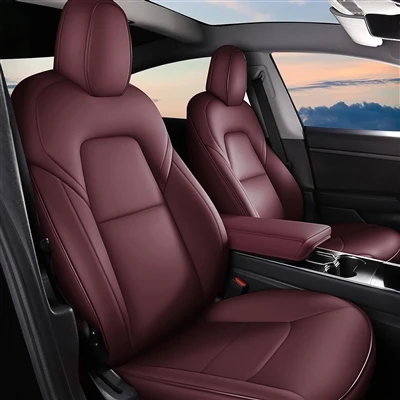 O primeiro carro de um jovem pode ser um Tesla